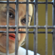 Elba Esther Gordillo in jail